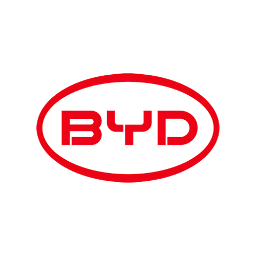 BYD Automotive Interior leather punching machine